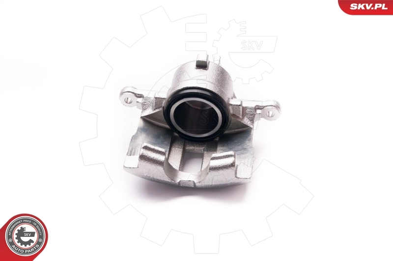 Brake Caliper 23SKV491