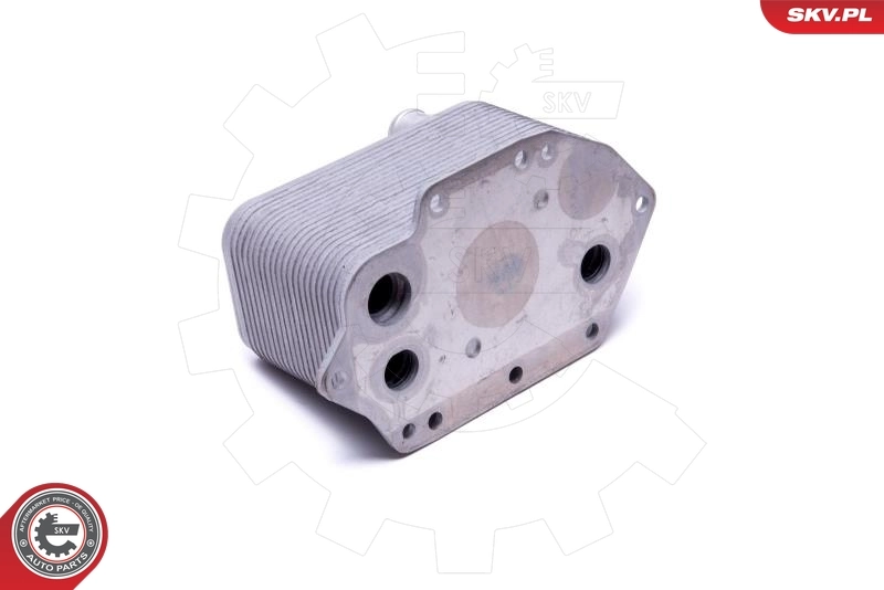Oil Cooler, engine oil 31SKV221