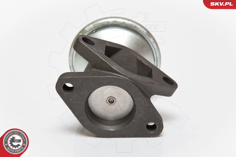 EGR Valve 14SKV052