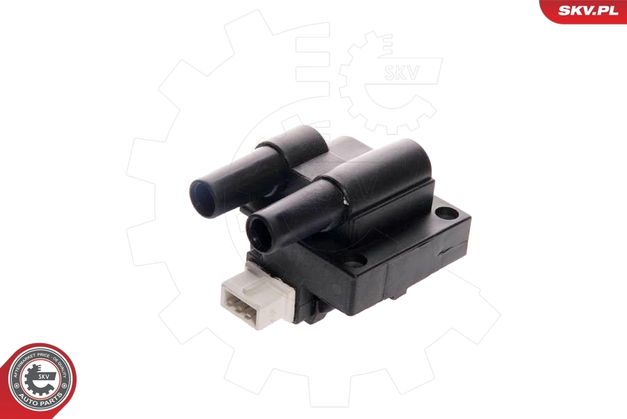 Ignition Coil 03SKV039