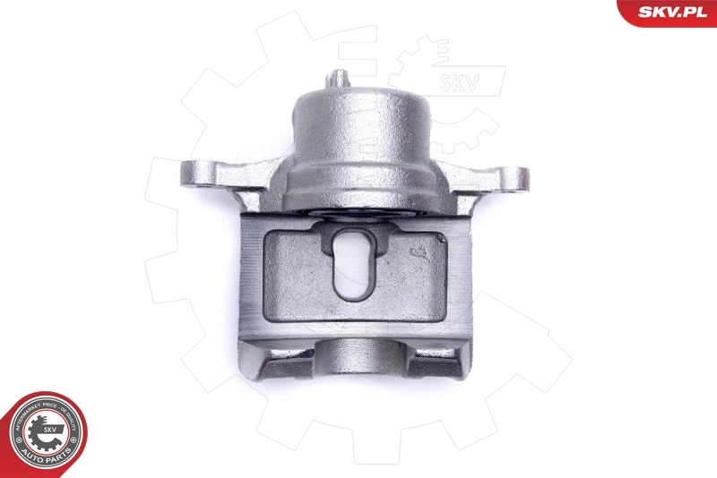 Brake Caliper 46SKV831