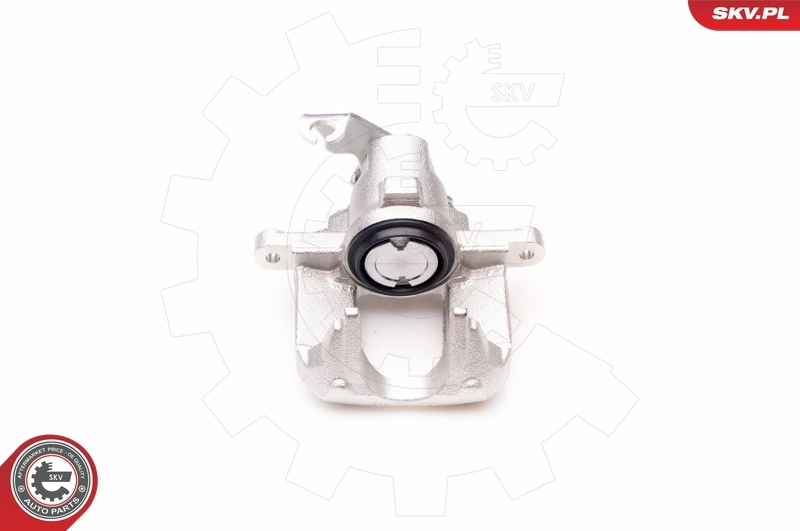 Brake Caliper 34SKV004