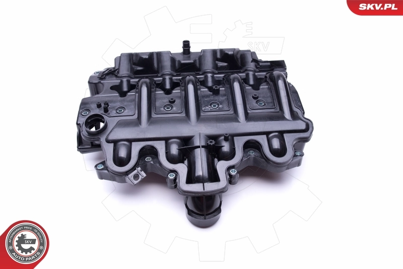 Intake Manifold Module 49SKV021