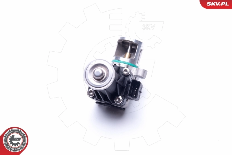 EGR Valve 14SKV185