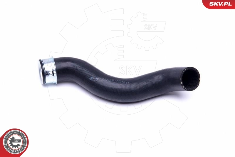 Radiator Hose 43SKV864