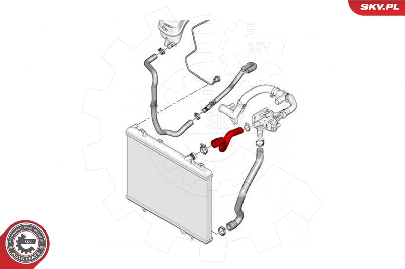 Radiator Hose 24SKV233