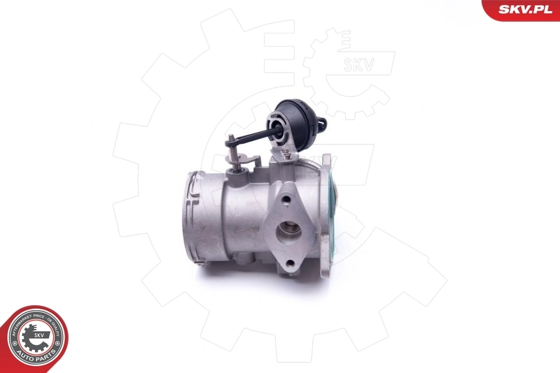 EGR Valve 14SKV093