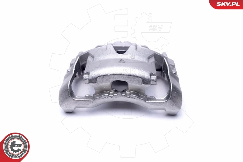 Brake Caliper 55SKV782