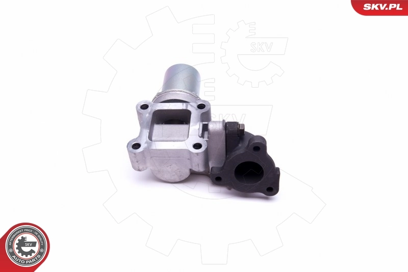 EGR Valve 14SKV214