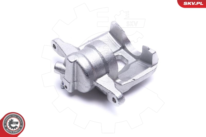 Brake Caliper 56SKV302