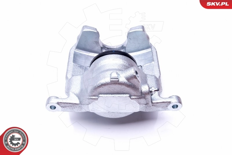 Brake Caliper 44SKV281