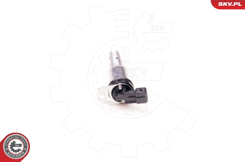 Control Valve, camshaft adjustment 39SKV012