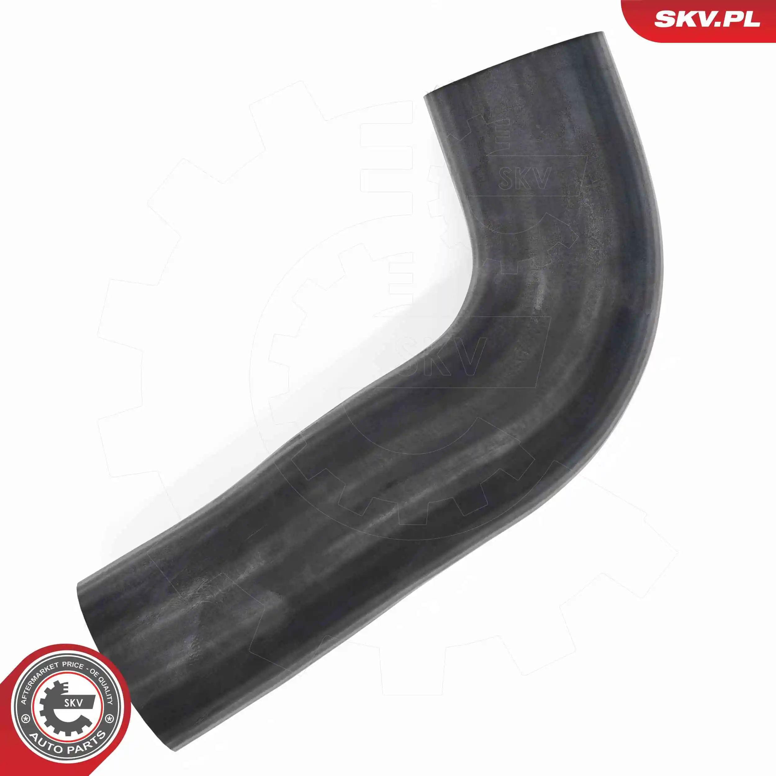 Radiator Hose 43SKV884