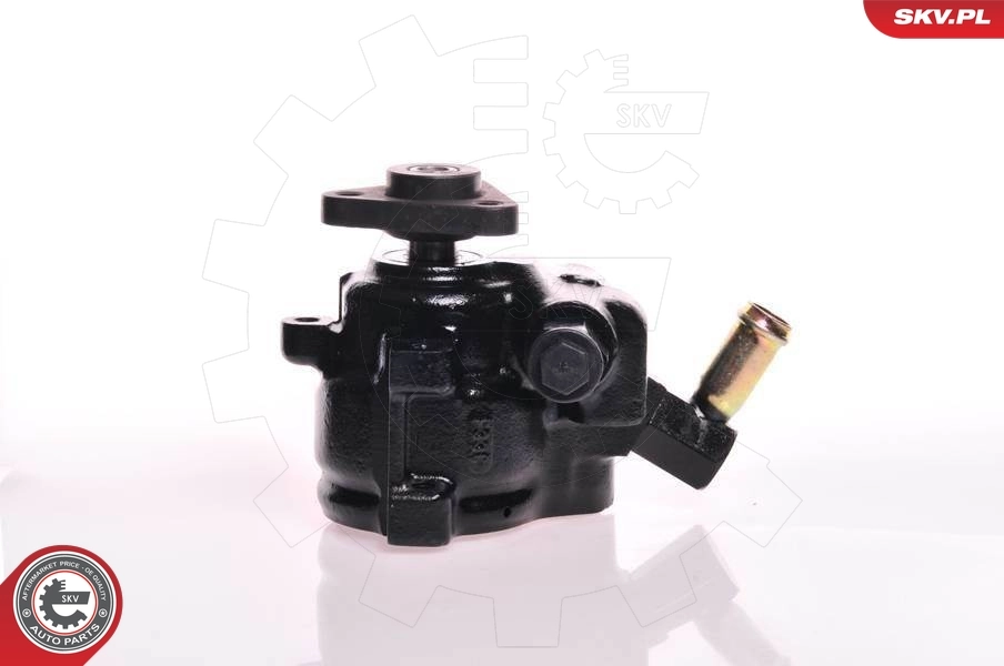 Hydraulic Pump, steering 10SKV179