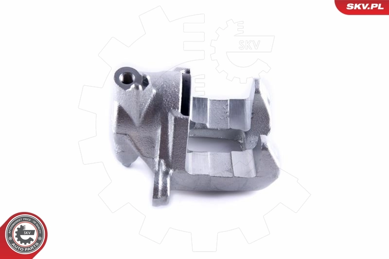 Brake Caliper 50SKV823