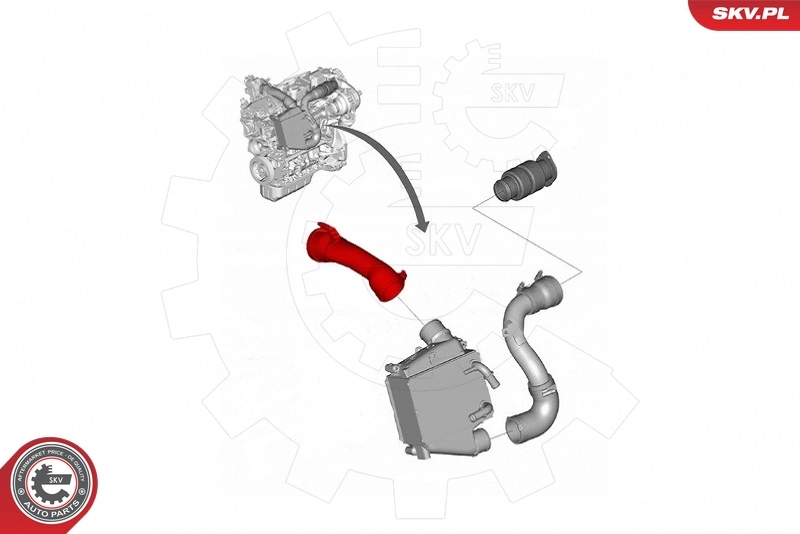 Charge Air Hose 43SKV315