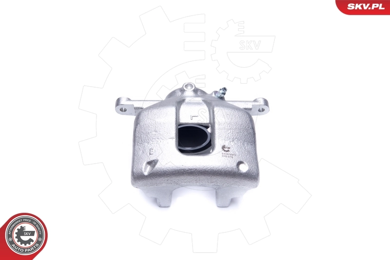 Brake Caliper 44SKV871