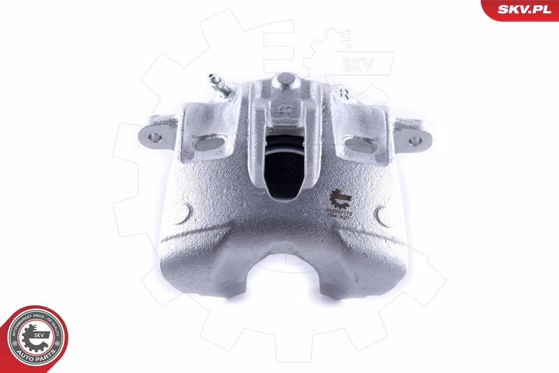 Brake Caliper 55SKV172