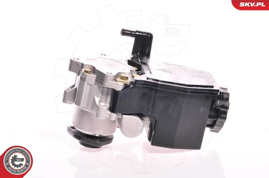 Hydraulic Pump, steering 10SKV160