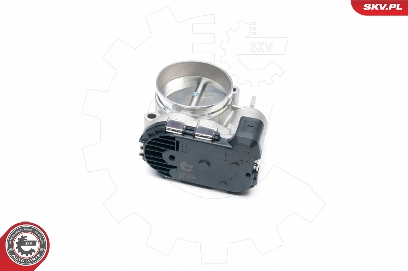Throttle Body 12SKV052