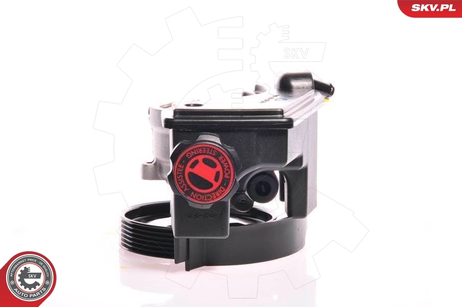 Hydraulic Pump, steering 10SKV153