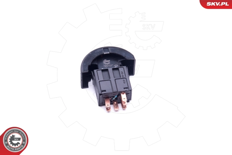 Hazard Warning Light Switch 36SKV713