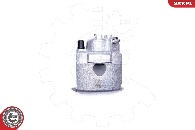Brake Caliper 45SKV451