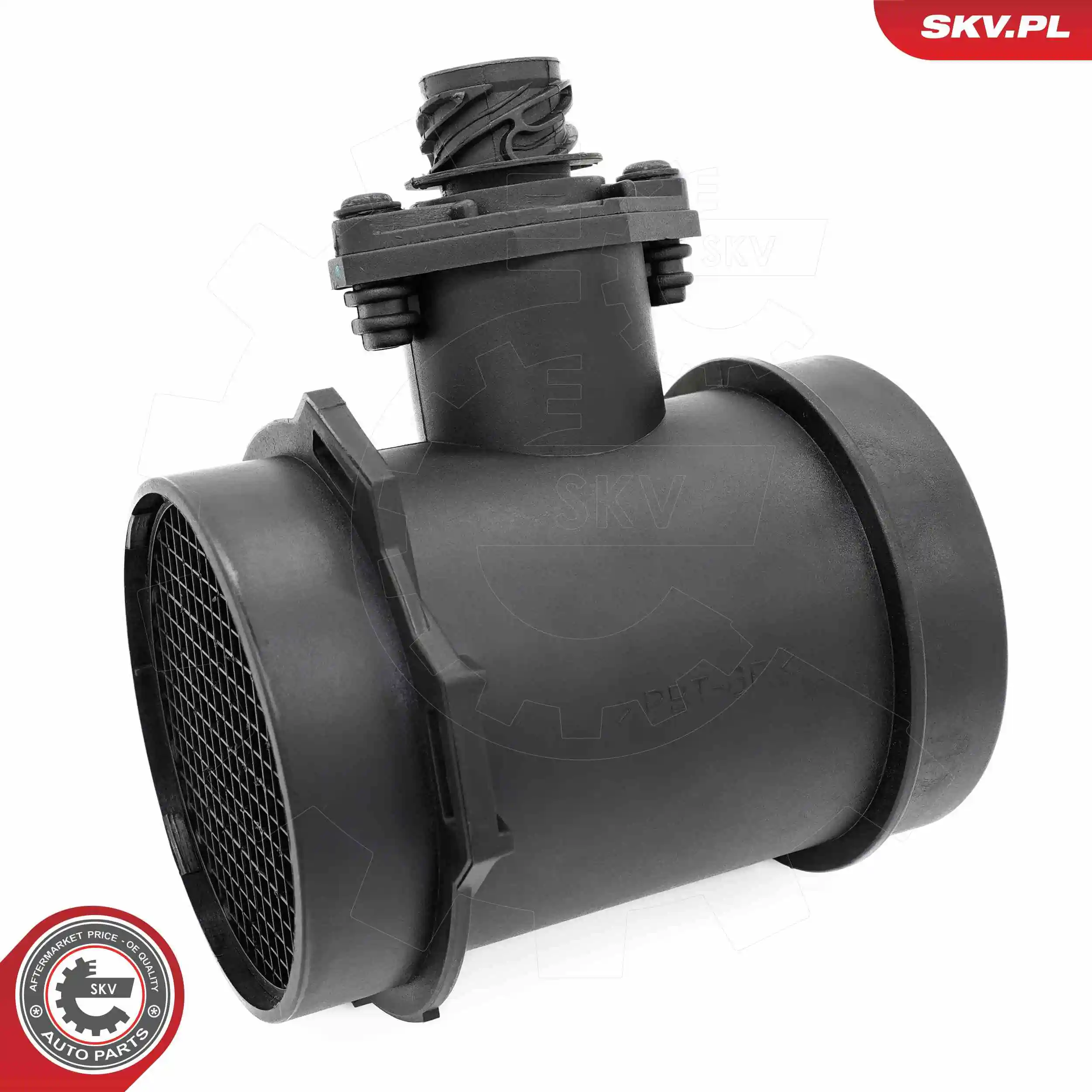 Mass Air Flow Sensor 07SKV213