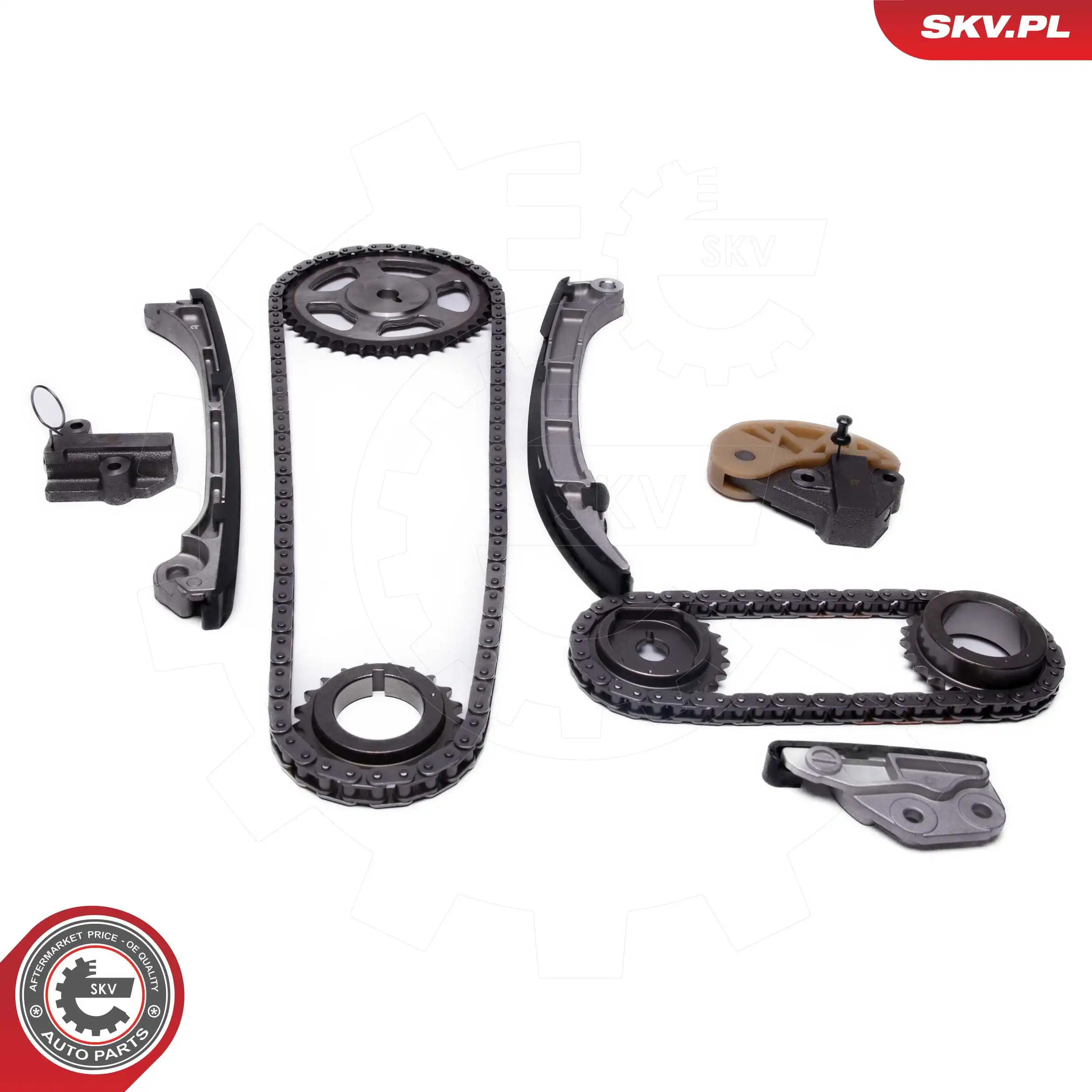Timing Chain Kit 21SKV250