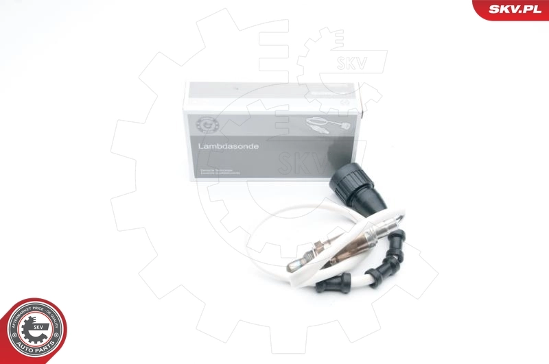 Oxygen Sensor 09SKV604