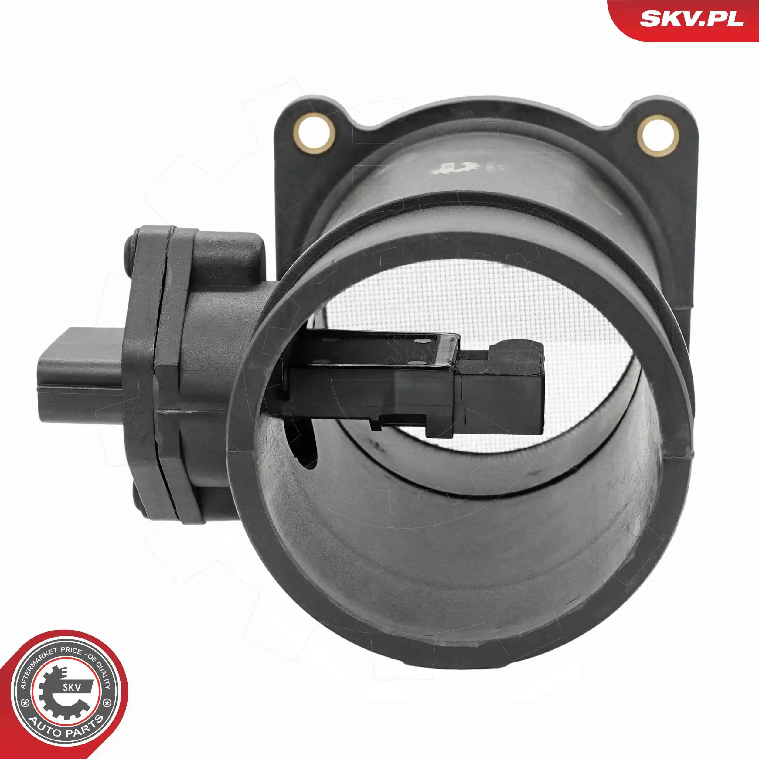 Mass Air Flow Sensor 07SKV273