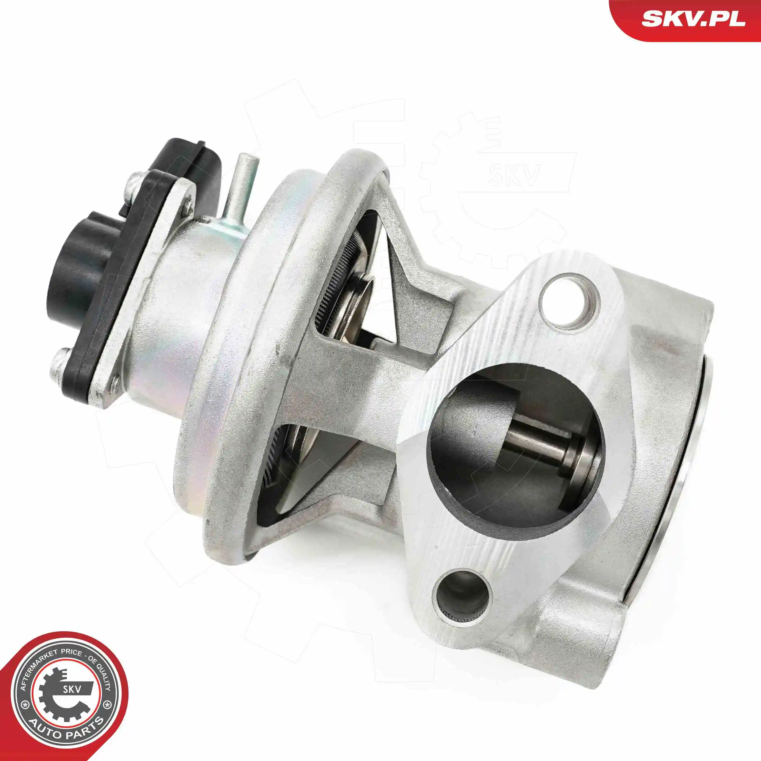 EGR Valve 14SKV269