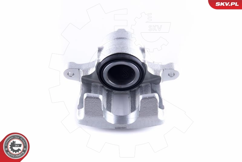 Brake Caliper 55SKV142