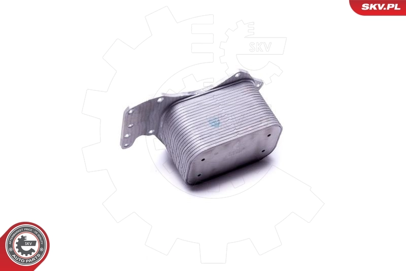 Oil Cooler, engine oil 31SKV213