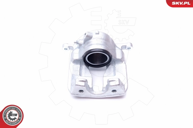 Brake Caliper 44SKV281