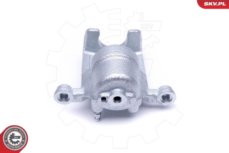 Brake Caliper 50SKV464