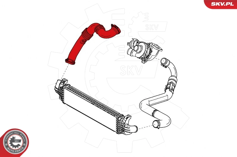 Charge Air Hose 24SKV802