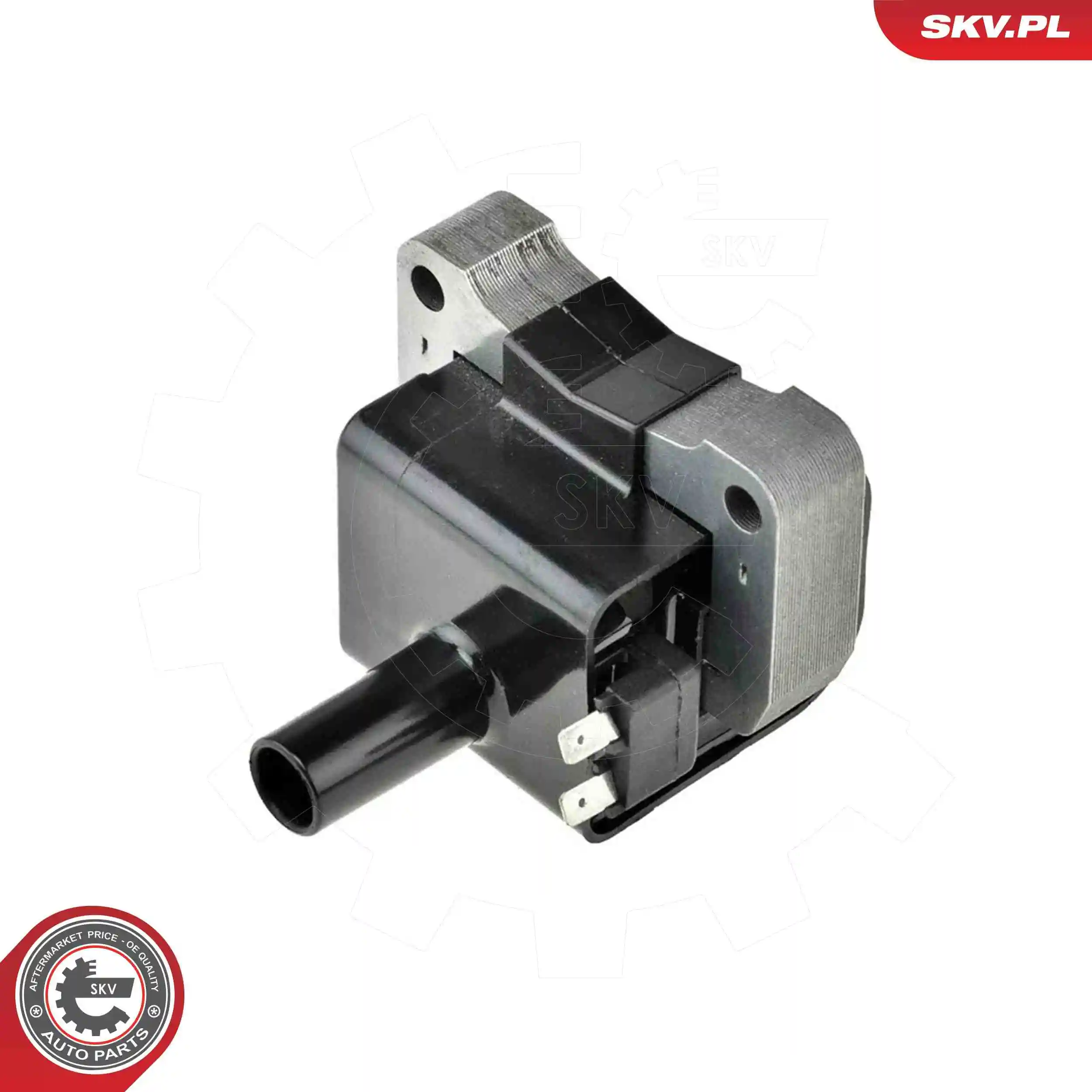 Ignition Coil 03SKV359
