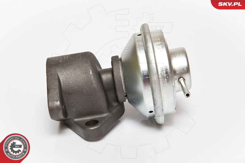 EGR Valve 14SKV051