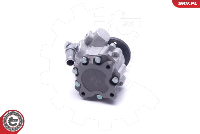 Hydraulic Pump, steering 10SKV312