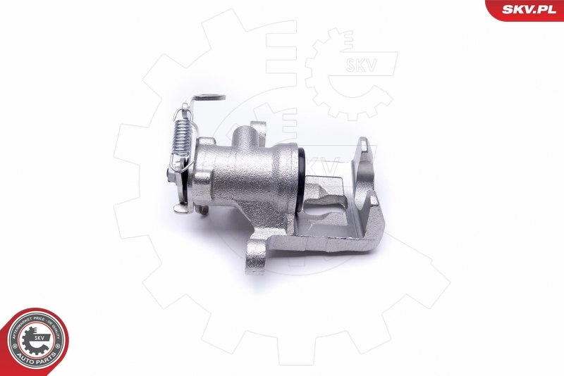 Brake Caliper 46SKV843