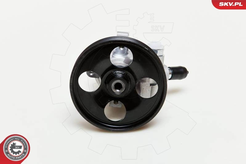 Hydraulic Pump, steering 10SKV057