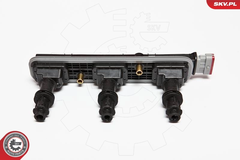 ESEN SKV 03SKV208 Ignition Coil