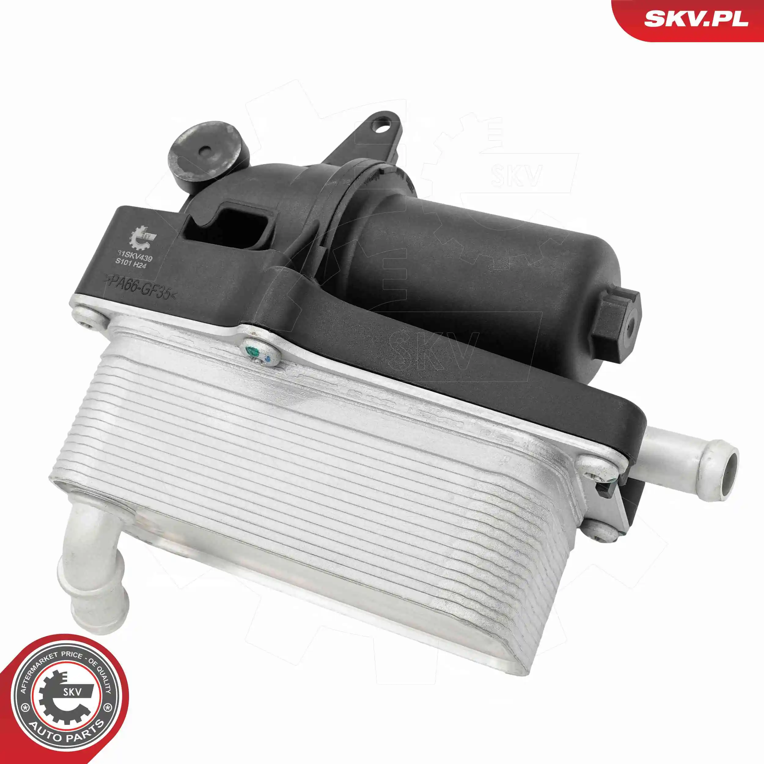 Oil Cooler, engine oil 31SKV439
