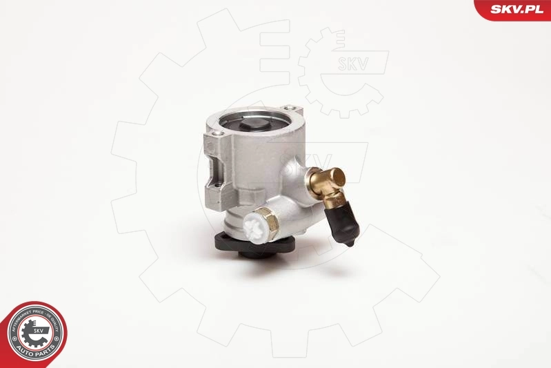 Hydraulic Pump, steering 10SKV053