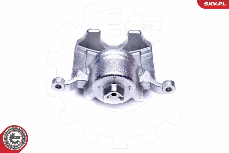 Brake Caliper 45SKV012
