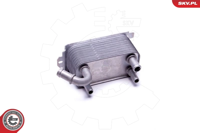 Oil Cooler, engine oil 31SKV228