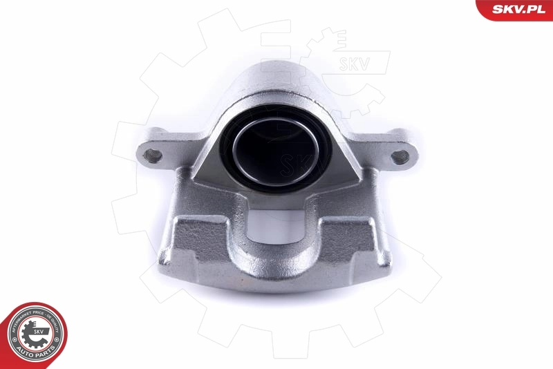 Brake Caliper 55SKV462