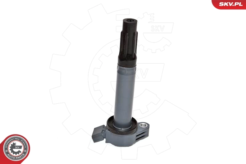 Ignition Coil 03SKV197