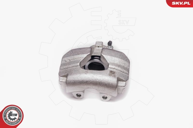 Brake Caliper 23SKV061